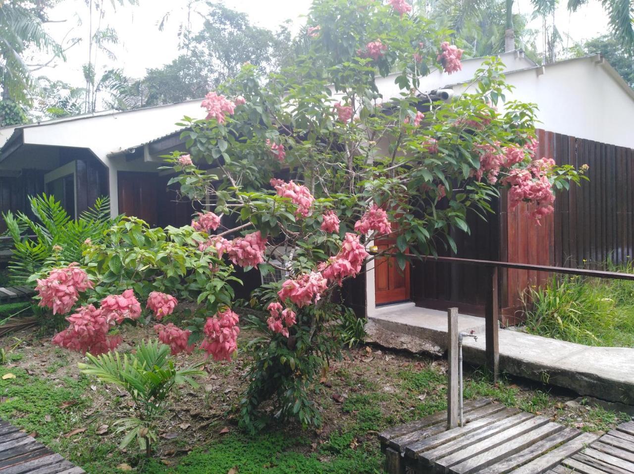 Ceiba Tops Santa Teresa  Kültér fotó