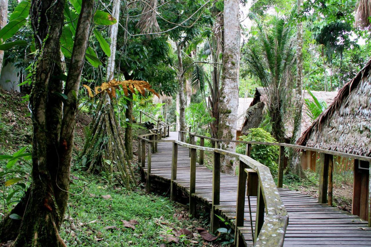 Ceiba Tops Santa Teresa  Kültér fotó